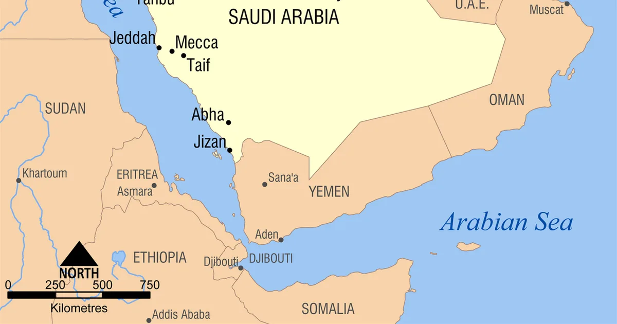 كيف ستدعم هذه الصفقة رؤية السعودية 2030 في قطاع السيارات الكهربائية؟